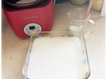 step3: 將100ml的寒天杏仁漿倒進另外300ml的杏仁漿內，攪拌均勻，放進雪櫃雪至凝固，再切粒便完成。