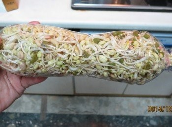 step10: 回到家了~ 剛好第五天可收成囉!