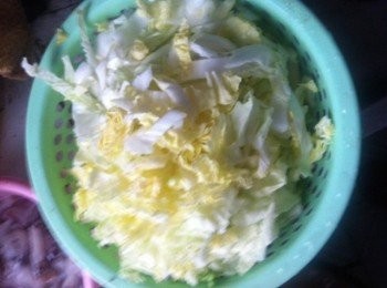 step1: 先洗乾淨大白菜，切好待用