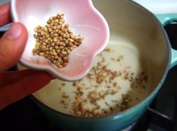 step5: 接著加入芫荽籽，維持小火慢慢煸，切忌大火，會焦。