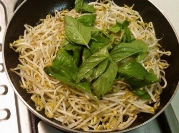 step3: 豆牙菜炒至偏軟後，放入九層塔與鹽巴一同拌炒後，即可起鍋盛盤。