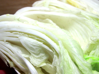 step6: 汆燙的步驟是必需要的, 主要做刹青的動作, 令葉片變軟。也是酸白菜的特色。汆燙後的大白菜和汆燙用的水分別靜放至室溫。