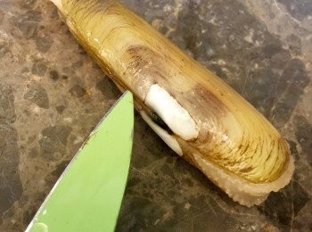 step2: 用刀仔插入蟶子背後，蟶子內的水分自動流出，再輕按蟶子殻唧出多餘水份