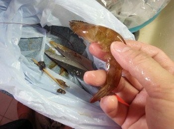 step3: 剪去蝦鬚及腳,洗淨待用