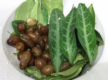 step2: 浸軟陳皮去囊， 石黃皮、龍葉洗淨隔水備用