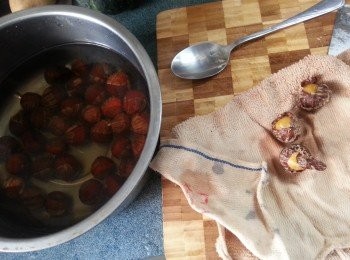 step1: 半殼栗子先用滾水煮2分鐘,再兩粒兩粒取出,用毛巾包住卒一卒衣部位即可以輕易去殼