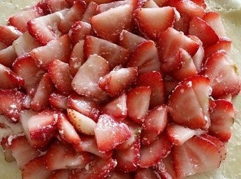 step4: 取出移至牛油紙上，捍平成大約10吋圓型麵糰