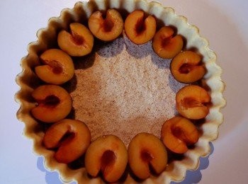 step3: 麵包粉均勻鋪上塔底，將李子切半並將其中一邊切掉一個角（如圖）。均勻排列在塔裡。