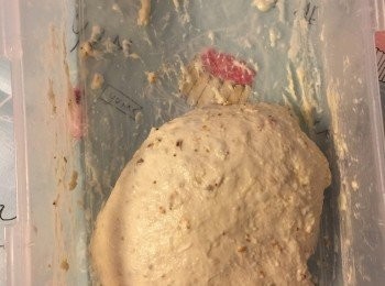 step1: 1) 徐鹽及五穀種子外，autolyse 20 分鐘

2) 下鹽及五穀種子搓揉，番麵一次

3) 再發20分鐘及番麵，共番三次