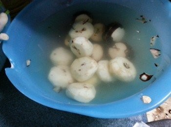 step2: 馬蹄去皮,(去皮後必須要浸在水中,否則馬蹄會變黃)