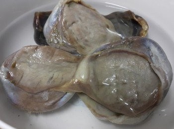 step4: 陳腎清洗後，用清水浸泡至軟身