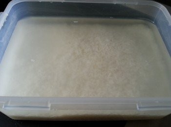 step1: 糯米用凍水浸3小時以上