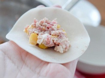 step2: 將醃料放在餃子皮中間，用手指點些水，在皮邊塗一點水（不要太多）