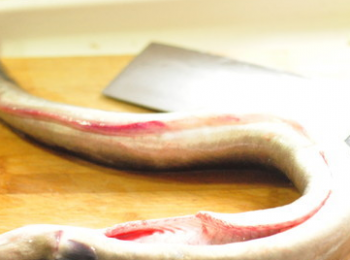 step1: 鰻魚洗淨取腹部內臟。