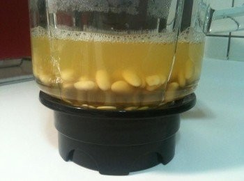step3: 打黃豆：拿出果汁機，放入熟黃豆和水（熟黃豆：水＝1：3），攪打一下（打到沒有顆粒就可以了），香濃的豆漿就完成了！