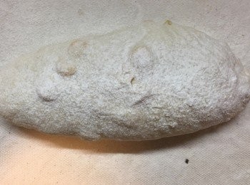 step13: 粉團灑上麵粉。