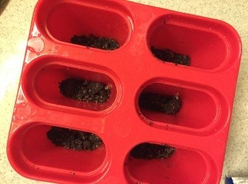 step2: 放入雪條模內, 可隨個人喜好加入oreo碎, 最多7成滿