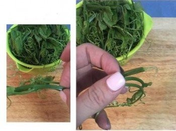 step1: 龍鬚菜洗淨後，用手折撕成適當大小，並將折斷時的絲拉掉去除。