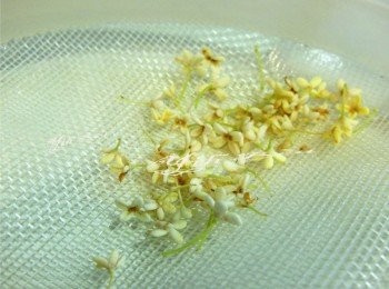 step3: 放進細網篩洗