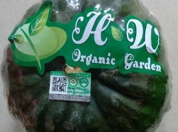 step1: 準備安田有機大南瓜