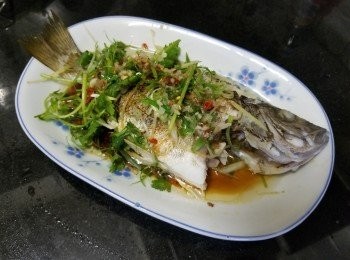 step5: 做法 :

將石蚌清洗後隔乾水份 , 在底面放少少薑絲 , 水滾計蒸約 6 至 8 分鐘 , 取出倒去魚水放上蔥花 , 爆香蒜頭 , 乾蔥滾油淋上 , 少少生抽 , 完成 .