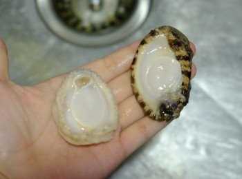 step2: 新鮮鮑魚請海鮮鋪老閭代剮好去腸，再用牙刷擦乾淨鮑魚仔。