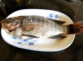 step6: 鰂魚