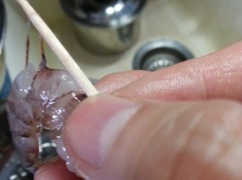 step1: 將膠去殼,於背部挑去腸