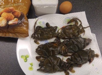 step1: 準備<span class="group_1">食材</span>。