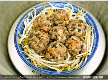 step9: 將捏塑成型的肉丸子，直接擺放在豆芽菜上，用電鍋蒸煮半小時即可。