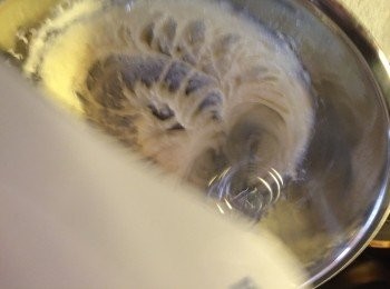 step2: 無鹽牛油室溫放軟, 加入糖後用電動打蛋器打勻