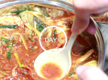 step16: 在室溫20 ℃至25 ℃時，是乳酸菌最活躍的溫度
而室溫高達35 ℃以上，乳酸菌很可能會死亡的。
所以秋冬季節會是做泡菜的最佳季節。