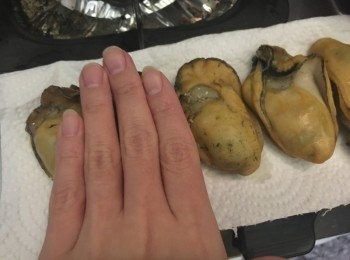 step4: 金蠔有手指般長呢 但汆水及煎後縮了少少 是正常的