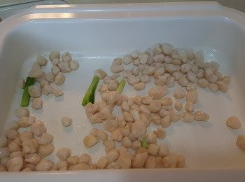 step2: 溫度以High預熱5分鐘，以少許油將小帶子炒一會。