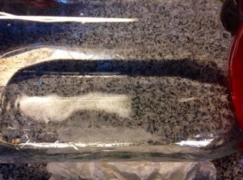 step6: 器皿清洗乾淨並用熱水消毒備用