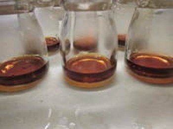 step4: 將<span class="group_2">焦糖</span>平均倒入容器中