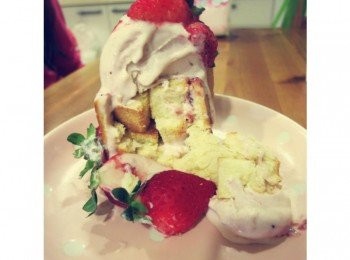 step13: 切開內部