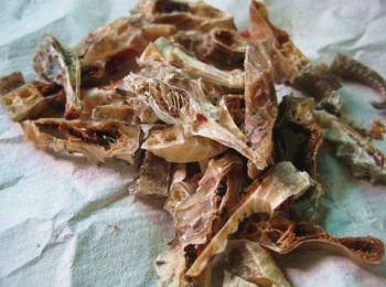 step2: 藥材洗淨，然後放入海馬下鍋燉3-4個鐘頭， 我的海馬是一公一母，有點強迫症。如果想湯口越甜，可以多加點豬骨或蜜棗。