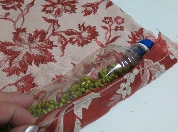 step7: 用不透光的布將豆芽包起來
