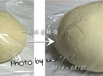 step4: 將麵糰取出揉成光滑圓麵糰，
蓋上保鮮膜讓它靜置發酵一個小時