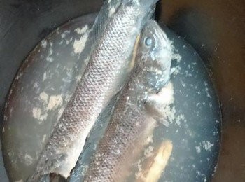 step2: 山斑魚叫魚檔檔主处理後，瓁燒熱水加兩片姜煮滾熄火，放入山斑魚過熱水，倒出洗凍水，即可以清除山斑魚身上的粘液，瀝幹水