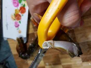 step14: 用廚剪將<a href="https://bit.ly/2YzwBVG" target="_blank" data-keyword="蟹鉗" class="guide-link"><strong>蟹鉗</strong></a> <span style="display:inline-block;vertical-align:middle;margin-top:-3px;color:initial;border-radius:3px;padding:2px 3px;font-size:12px;line-height:14px;background:#87d300;color:#fff;">即買</span> 穀夾碎(待蟹肉令粥更鮮味及蟹肉容易進食)