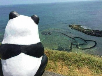 step2: 海膽黃蛋白質20克，為雞肉、豬肉、魚和蛋類食品蛋白質含量的一倍。然而，以中醫學來看，海膽黃有強精、壯陽、益心、強骨、補血的功效。