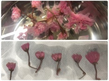 step1: 鹽漬櫻花用水浸開1 小時，再用廚紙印乾
