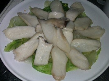 step3: 撈起生菜放在盤底，杏鮑菇片再依片片鋪在上層