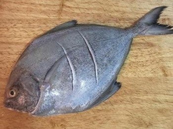 step2: 在魚身兩面各劃兩刀，並用適量的鹽均勻塗抹。