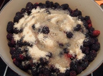 step3: 將洗好瀝乾的桑椹放入鍋裡,加入一半的二砂糖及檸檬汁混合均勻,靜置2-3小時。這樣可讓桑椹果實裡的果汁釋放出。