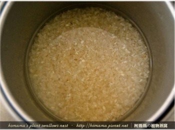 step2: 先將生米用電鍋，直接燉煮成香噴噴的白米飯備用。
