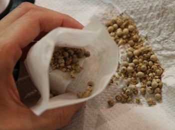 step1: 將所有藥材清洗一遍，紅棗去核，黨蔘和北芪剪半。白胡椒粒用刀稍微拍碎後分兩份裝入茶包袋中，備用。（沒有茶包袋也沒關係，直接分成2份。）如果想胡椒香味重一點，可先將胡椒粒炒香，再放入袋。