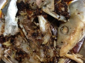 step1: 先將魚頭洗浄去腮及血紅瘦肉部份不要，盛起隔乾水份後用少許酒胡椒粉及生粉略醃一會